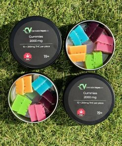 Alternative view of CV House Brand Gummies 2000mg (10x200mg)